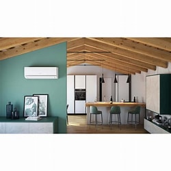 CLIMATIZZATORE OLIMPIA SPLENDID PHENIX E INVERTER