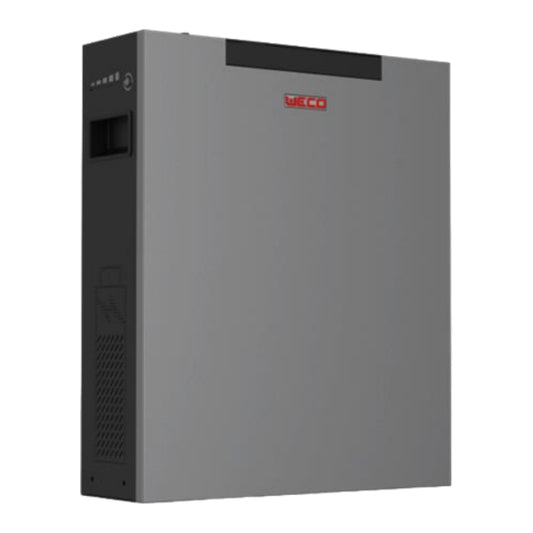 WECO DUAL VOLTAGE MODULO BATTERIA